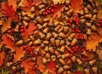 Bonus puzzle · Nov 1