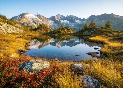Blueberry Ridge
