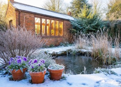 Winter Conservatory