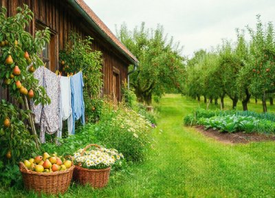 Farmhouse Laundry