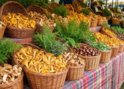 Mushroom Baskets