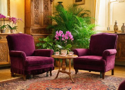 Orchid Sitting Room
