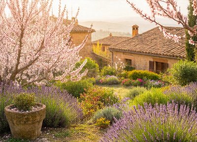 Almond Village