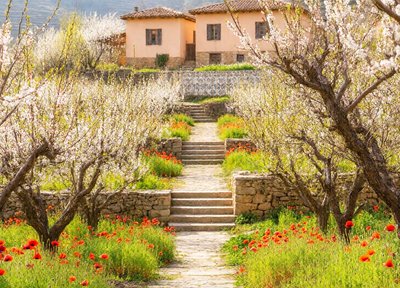 Apricot Terrace