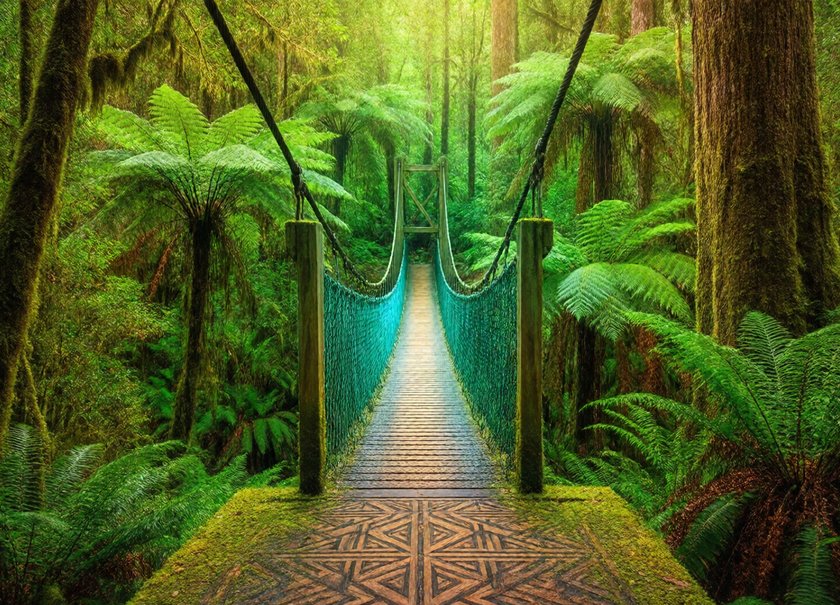 Te Urewera, New Zealand
